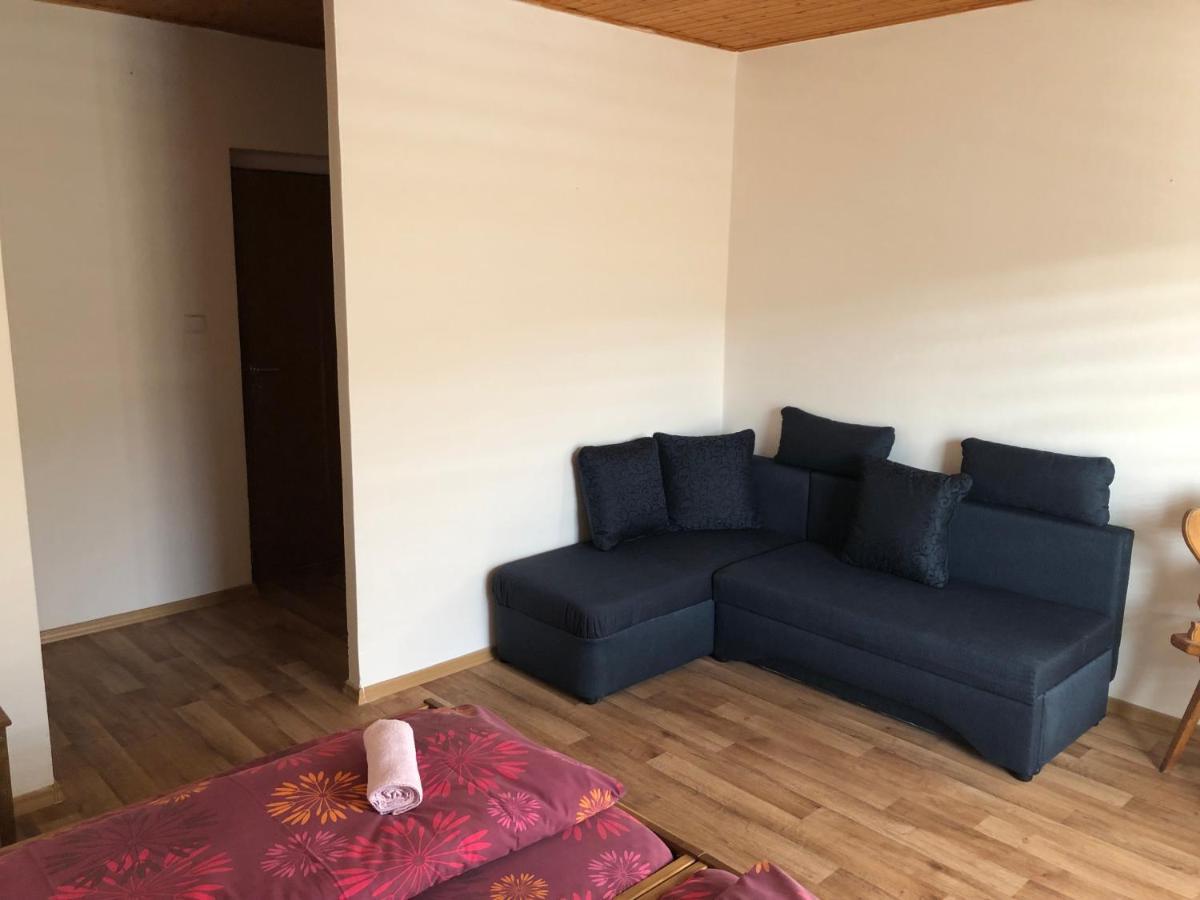 Penzion U Larvů Železná Ruda Esterno foto